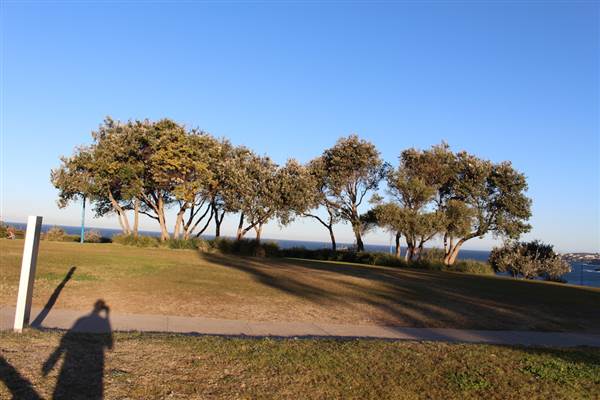 Dunningham Reserve Coogee (9/07/2014 - Credits: Jeremy Peek)