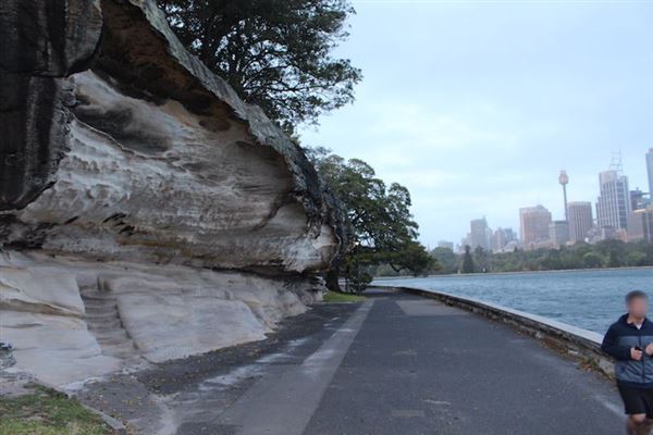 Mrs. Macquarie's Point - Royal Botanic Garden Sydney (24/10/2014)