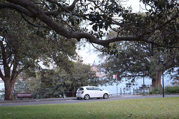 Mrs. Macquarie's Point - Royal Botanic Garden Sydney (24/10/2014)