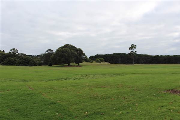 Centennial Park - Brazilian Fields (24/10/2014)