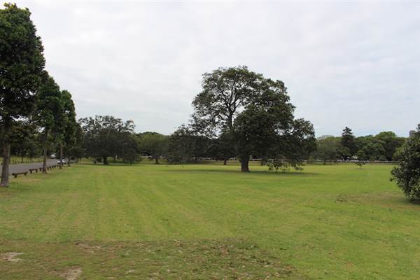 Centennial Park - Church Grounds (24/10/2014)
