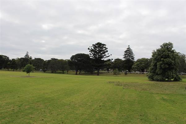 Centennial Park - Church Grounds (24/10/2014)