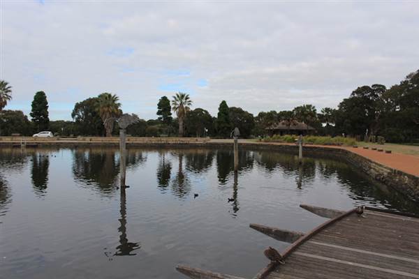 Centennial Park - Duck Pond (24/10/2014)