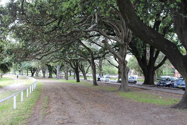 Centennial Park - Equestrian Grounds (24/10/2014)