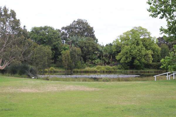Centennial Park - Lachlan Reserve (24/10/2014)
