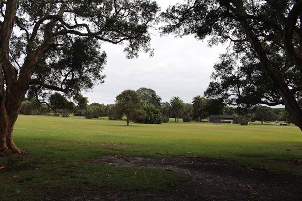 Centennial Park - Lachlan Reserve (24/10/2014)