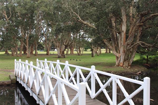 Centennial Park - Lachlan Reserve (24/10/2014)