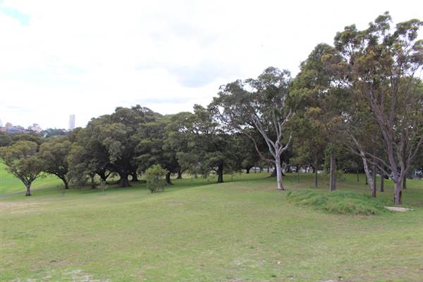 Centennial Park - Mount Steel (24/10/2014)