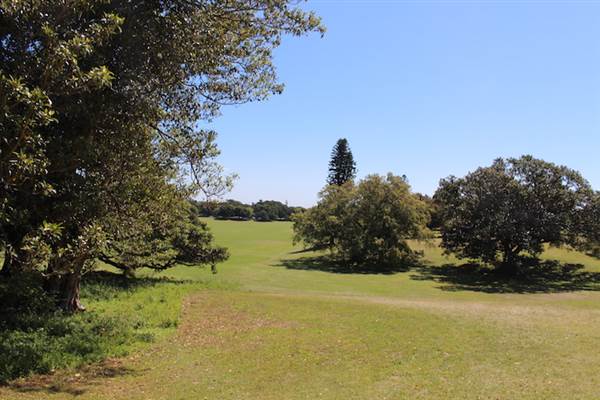 Centennial Park - Queens Park (24/10/2014)