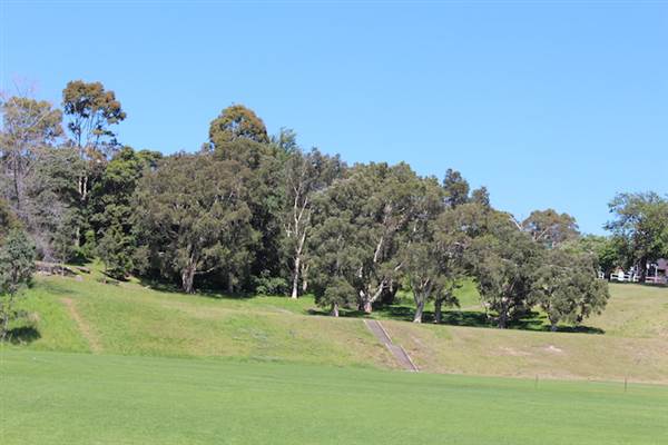 Centennial Park - Queens Park (24/10/2014)