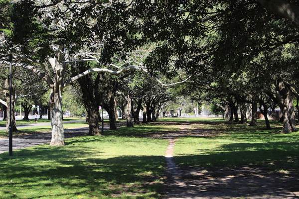 Centennial Park - Federation Way (24/10/2014)