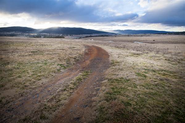 Monaro Plains (14/11/2014 - Credits: Colin McDougall)