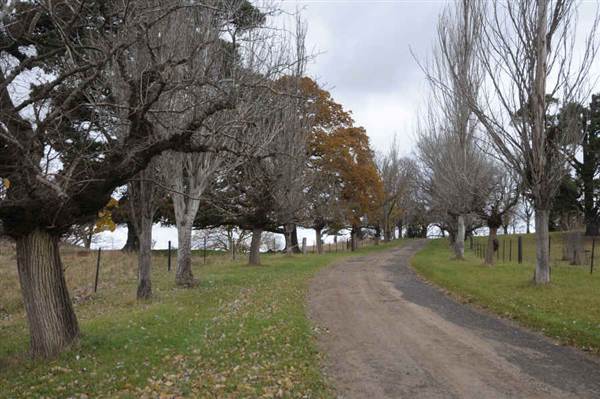 Hillview Heritage Hotel - Southern Highlands (25/05/2011 - Credits: Phillip Roope)
