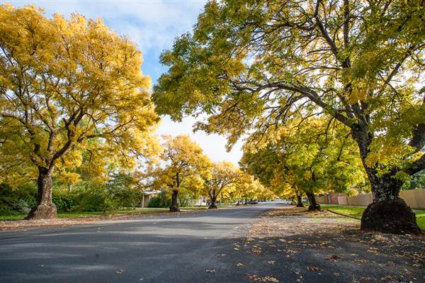 Crookwell (12/03/2015)