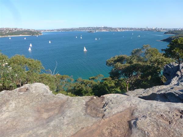 Middle Head Fortifications (13/03/2015)