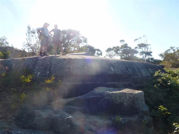 Middle Head Fortifications (13/03/2015)