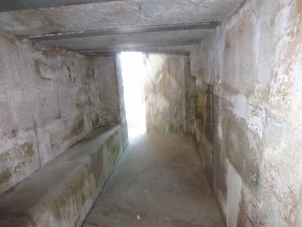 Middle Head Fortifications (13/03/2015)