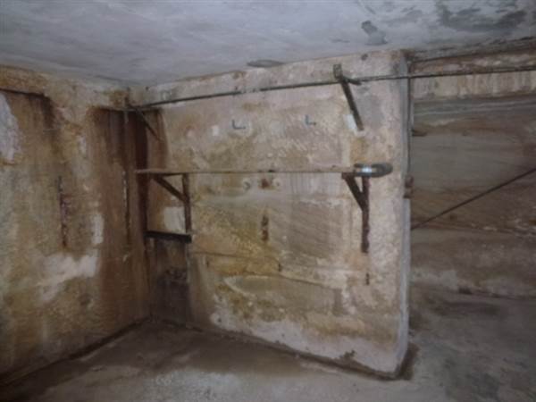 Middle Head Fortifications (13/03/2015)