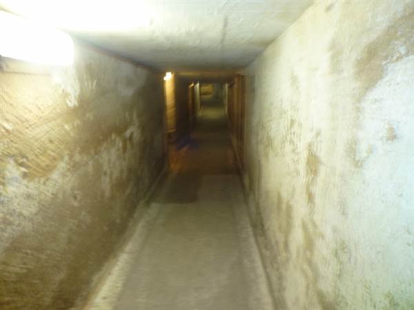 Middle Head Fortifications (13/03/2015)