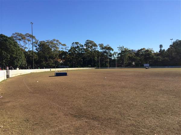 Trumper Oval (7/06/2014 - Credits: Shannon Wheeler)