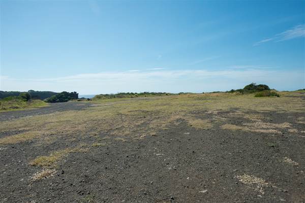 Bombo Headland Quarry (30/04/2015 - Credits: Colin McDougall)