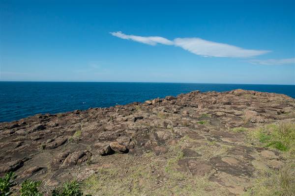Bombo Headland Quarry (30/04/2015 - Credits: Colin McDougall)