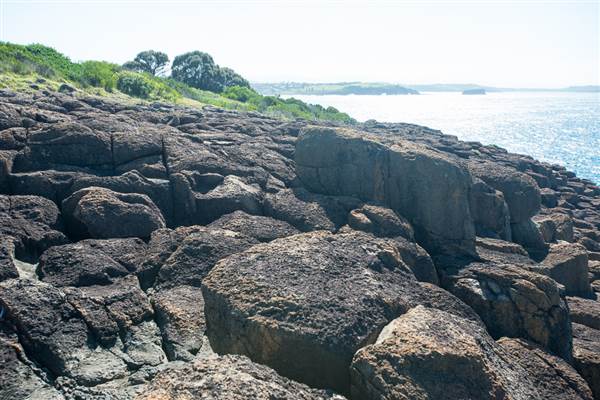 Bombo Headland Quarry (30/04/2015 - Credits: Colin McDougall)