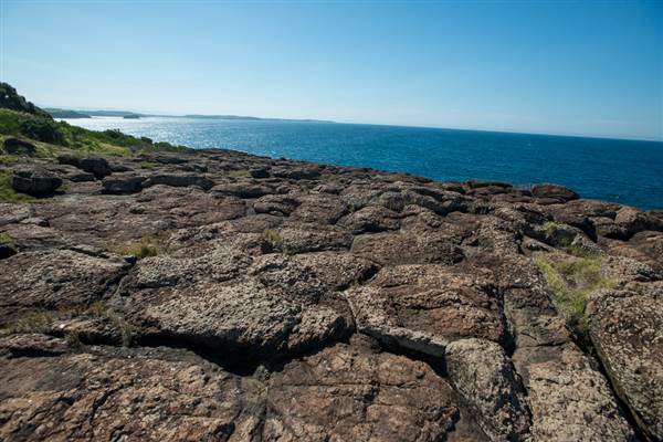 Bombo Headland Quarry (30/04/2015 - Credits: Colin McDougall)