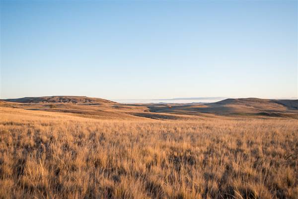 Monaro Plains (20/06/2015 - Credits: Colin McDougall)