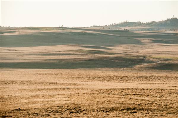 Monaro Plains (20/06/2015 - Credits: Colin McDougall)