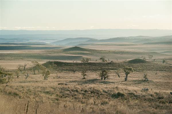 Monaro Plains (20/06/2015 - Credits: Colin McDougall)