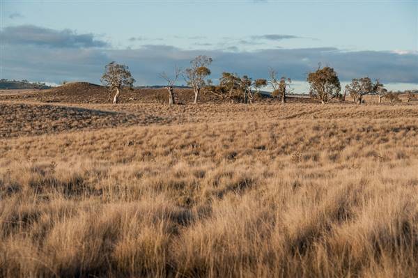 Monaro Plains (20/06/2015 - Credits: Colin McDougall)