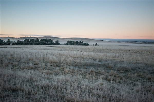 Monaro - Winter Frost (20/06/2015 - Credits: Colin McDougall)