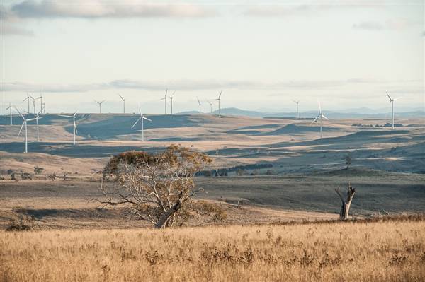 Boco Rock Wind Farm (24/07/2015)