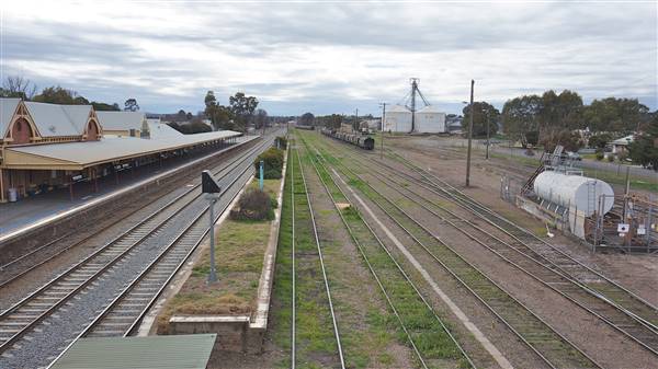 Cootamundra (3/08/2015 - Credits: Mary Barltrop)
