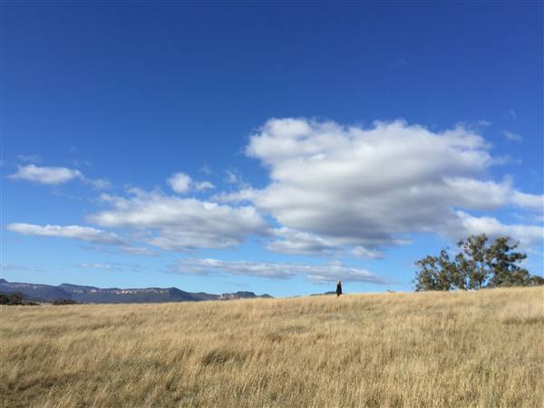 Snow Goose Farm - Glen Alice (8/11/2015)