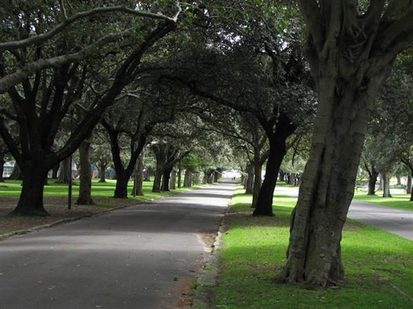 Centennial Park (24/02/2015 - Credits: Phillip Roope)