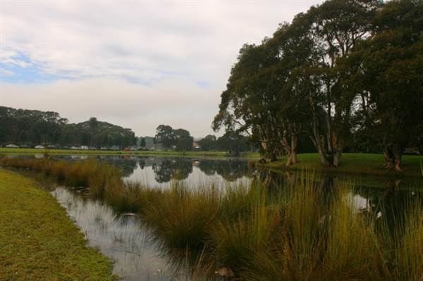 Centennial Park (28/11/2013)