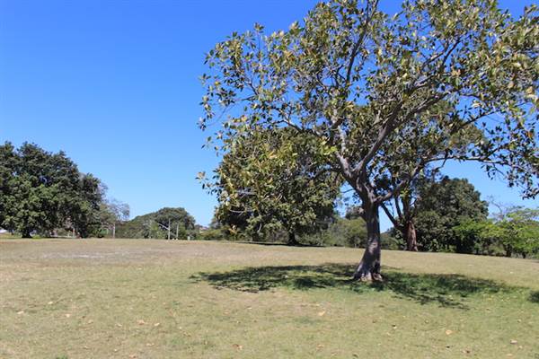 Centennial Park - Loch Ave South (24/10/2014)
