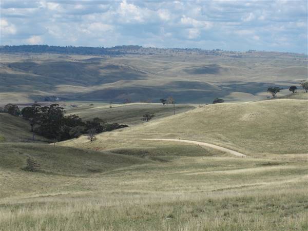 Monaro Plains - Summer (1/02/2005 - Credits: Colin McDougall)