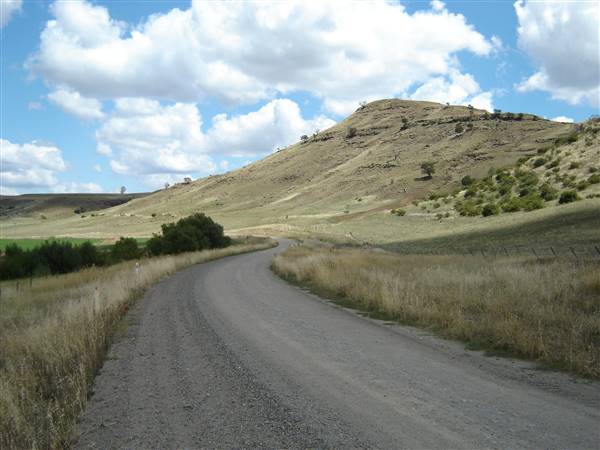 Monaro Plains - Summer (1/02/2005 - Credits: Colin McDougall)