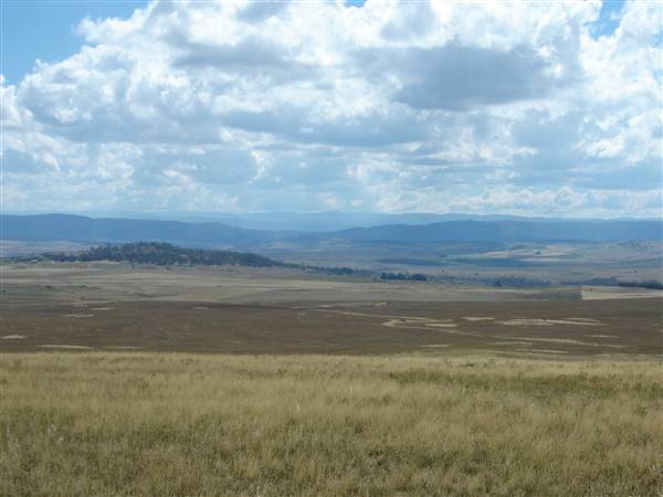 Monaro Plains (1/02/2005 - Credits: Colin McDougall)