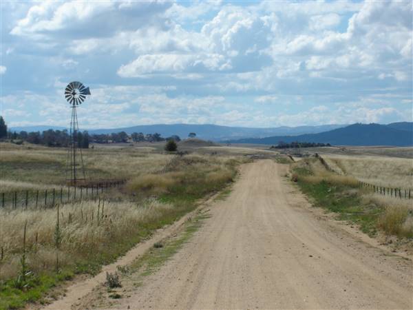 Monaro Plains (1/02/2005 - Credits: Colin McDougall)