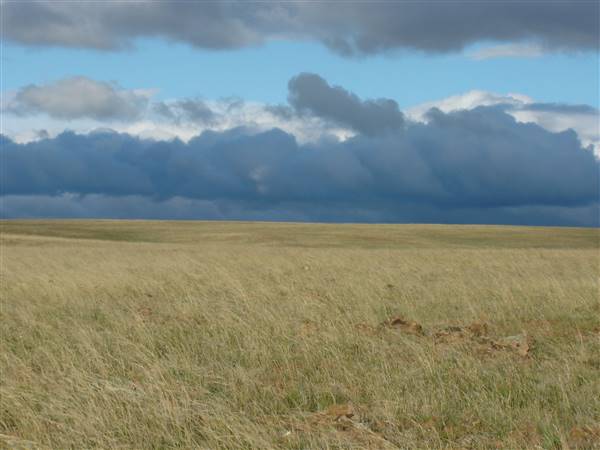 Monaro Plains (1/02/2005 - Credits: Colin McDougall)