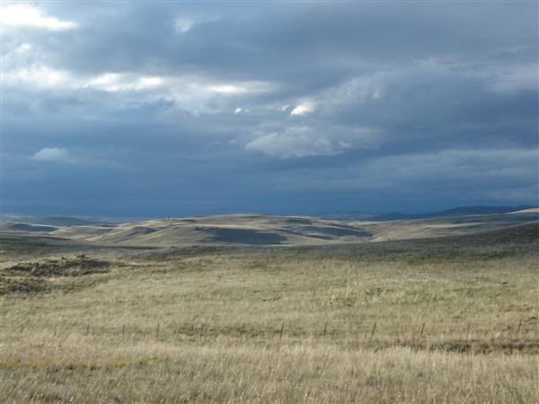 Monaro Plains (1/02/2005 - Credits: Colin McDougall)