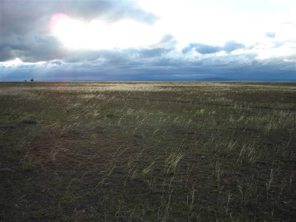 Monaro Plains (1/02/2014 - Credits: Colin McDougall)
