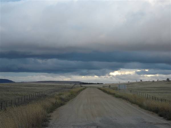 Monaro Plains (1/02/2014 - Credits: Colin McDougall)
