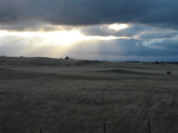 Monaro Plains (1/02/2014 - Credits: Colin McDougall)