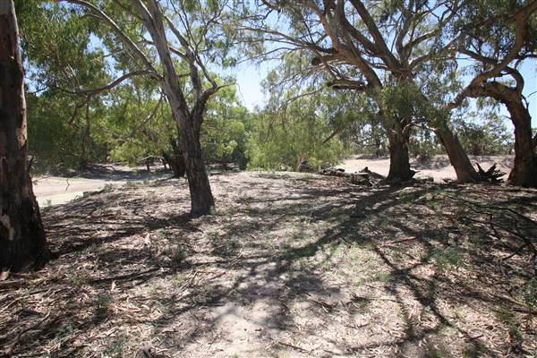 Bindara Station on the Darling - Period Homestead & Outbuildings (20/11/2015)