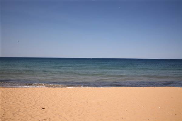 Collaroy Beach (20/11/2015)